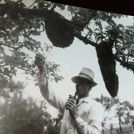 Ui Vilag