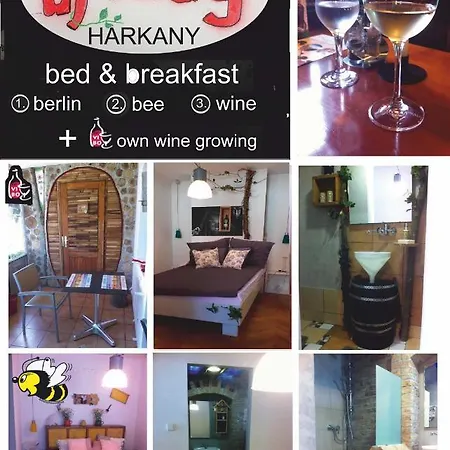 Ui Vilag Bed & Breakfast