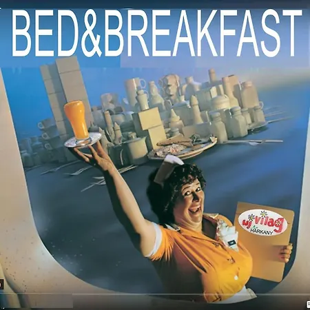 Bed & Breakfast Ui Vilag Harkany